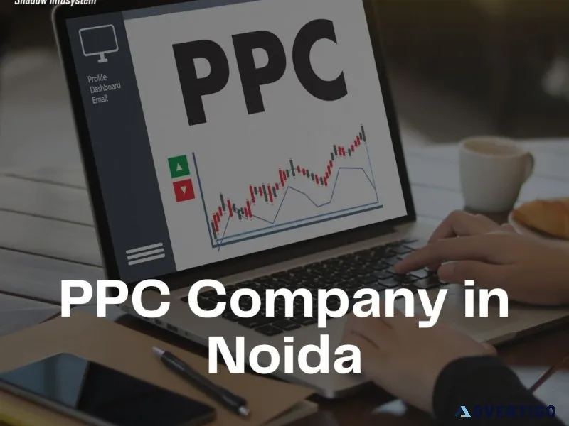 Best ppc company in noida