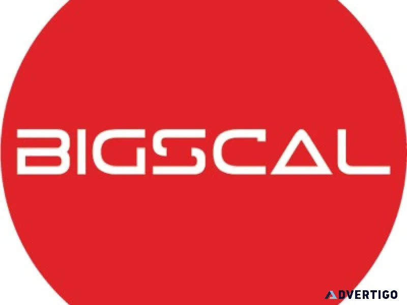 Bigscal Technologies Pvt Ltd