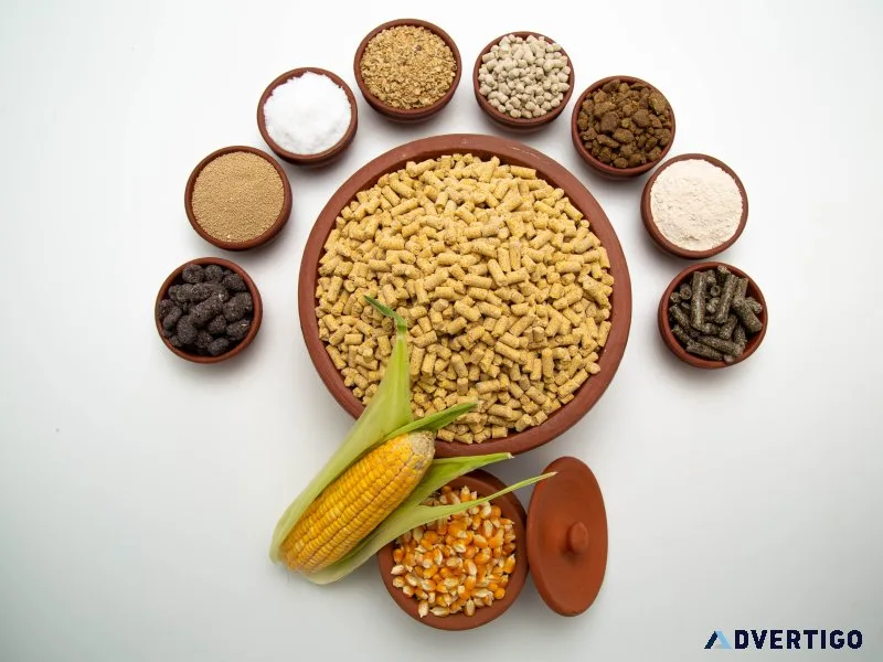 Best cattle feed in tamil nadu rgs feeds