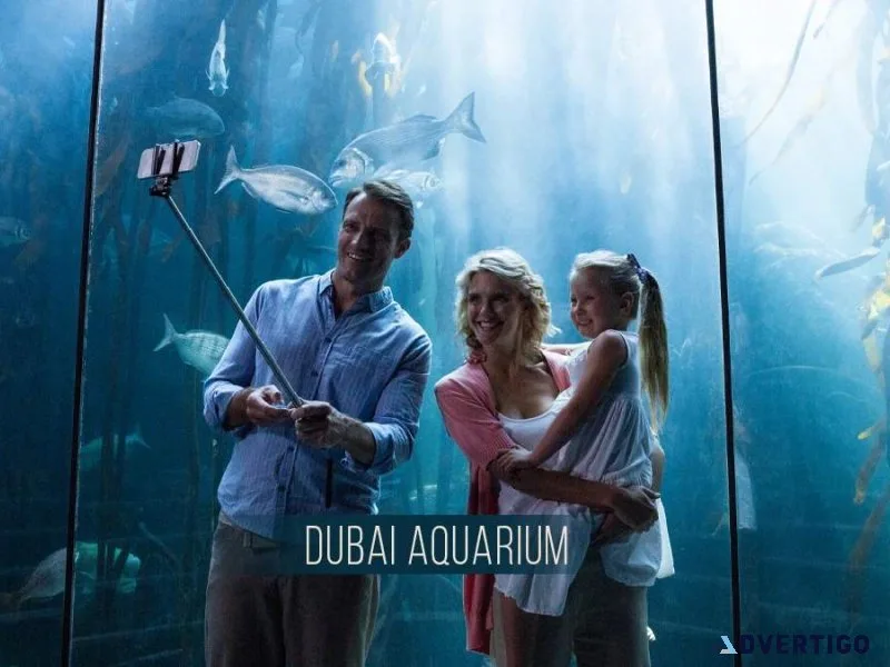 2026 dubai aquarium and underwater zoo pricing insider tips