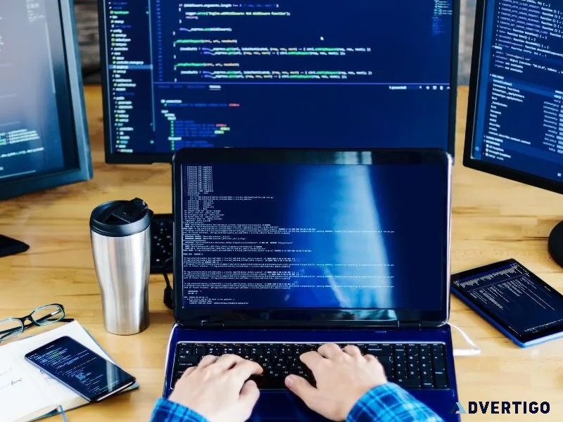 Web development services