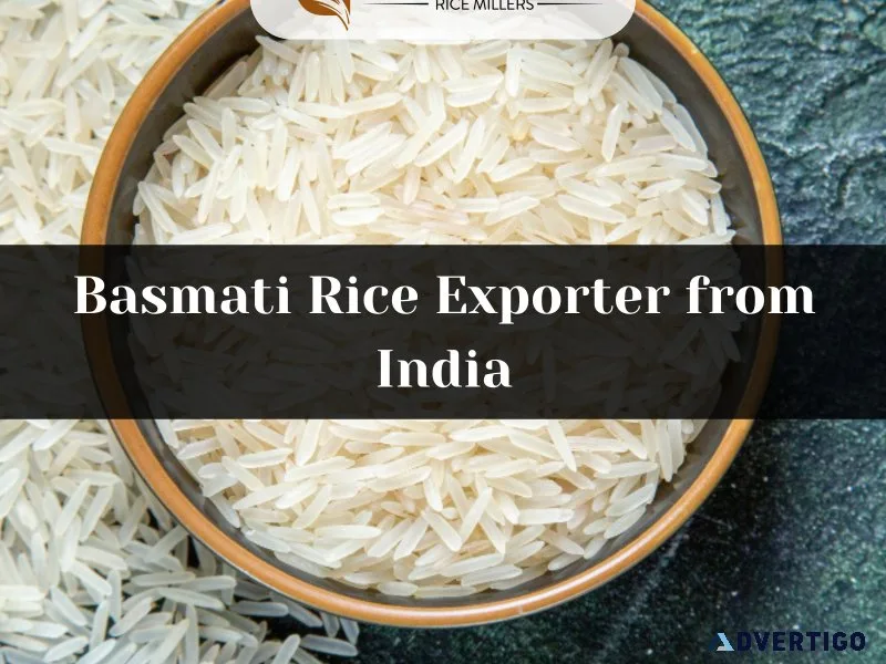 Basmati rice exporter from india shree krishna exports