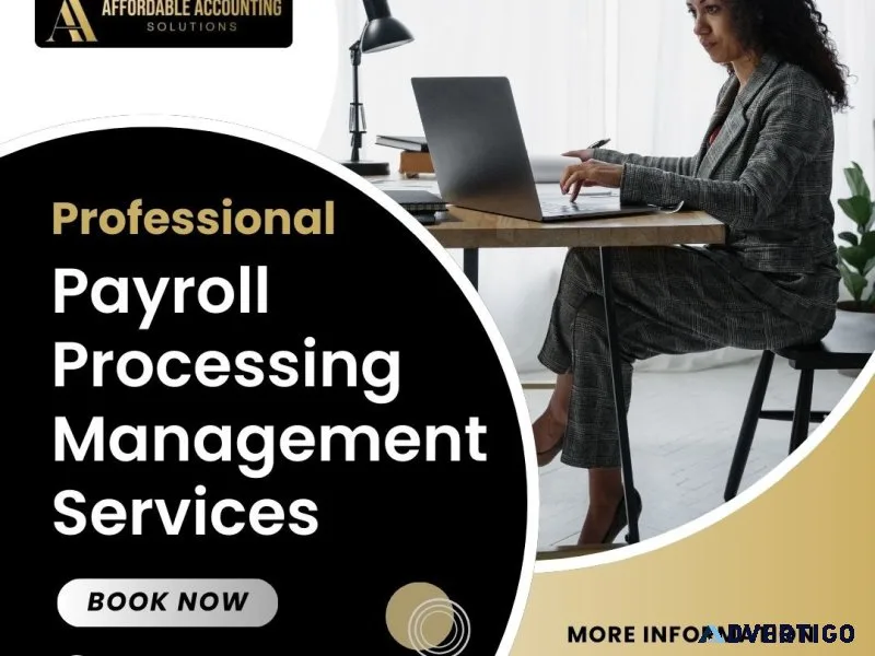 Professional payroll services seattle