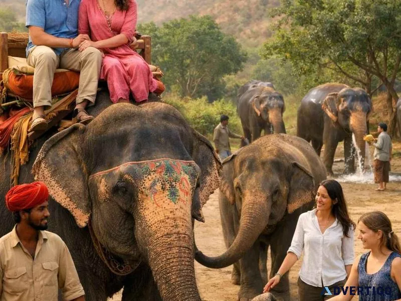 Jaipur elephant ride experience with ethical elephant sanctuary
