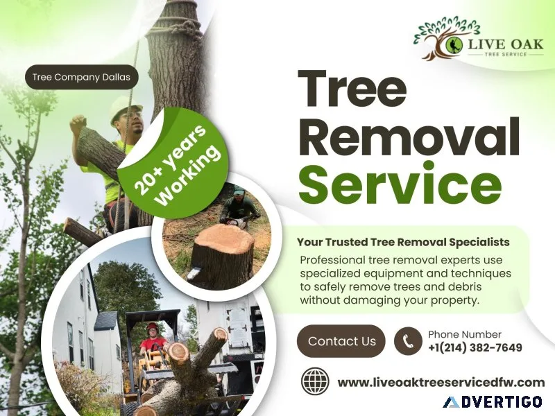 Best tree company dallas tree removal trimming stump