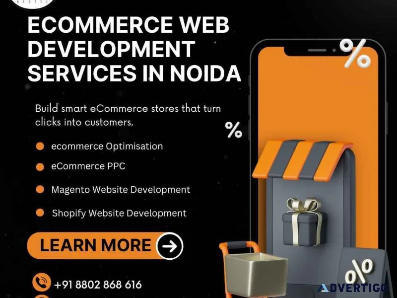 What key services define professional ecommerce web development