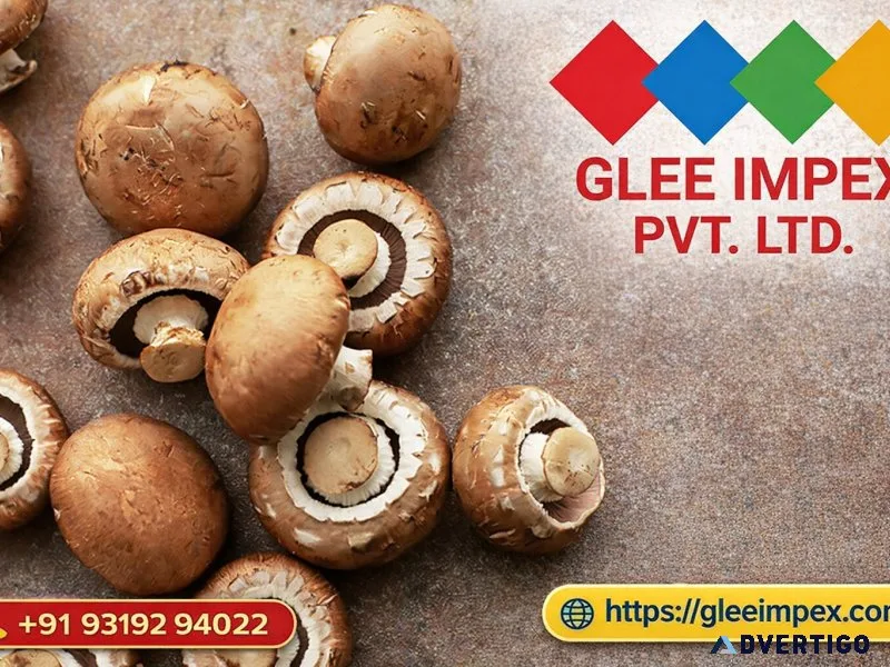 Trusted private detective agency in jaipur