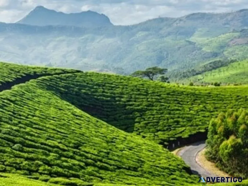 Call odyssey travels now for the best kerala tour deals