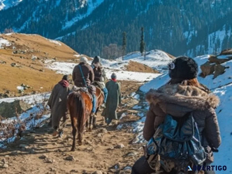 Stay in leh luxury reserve your trip now