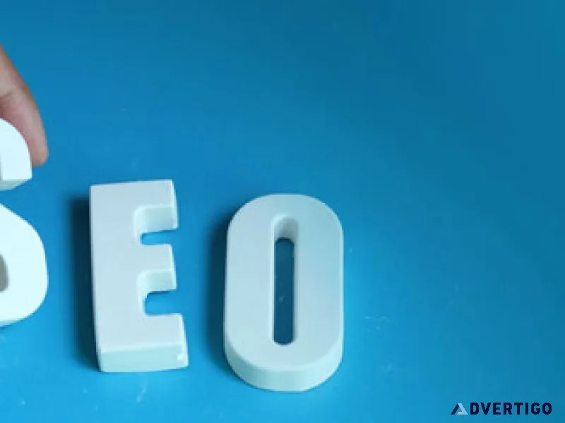 Top rated seo services in india for business growth