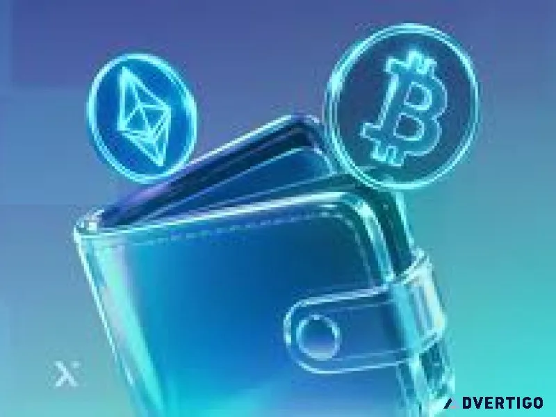 Mobile web crypto wallet app development services