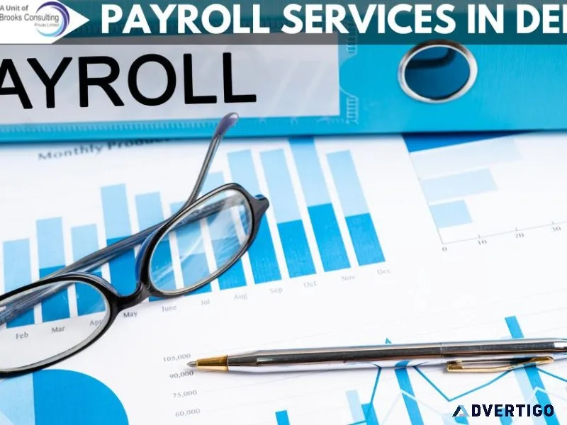 Errorfree payroll services in delhi for accurate salary process