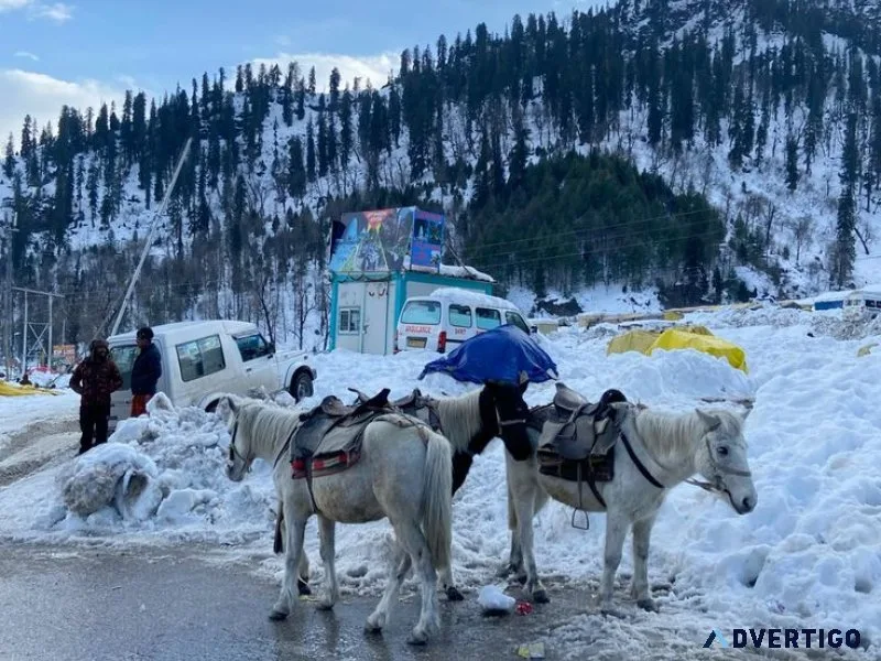 Best manali tour package