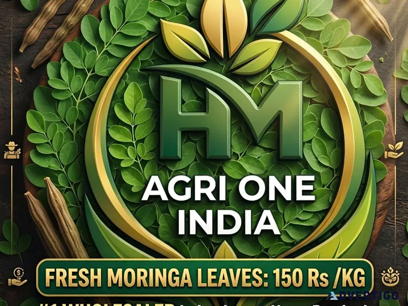 100 pure moringa leaves a hm agrione