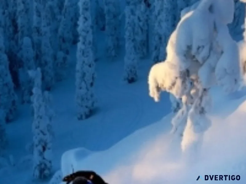 Arctic experience in finnish lapland