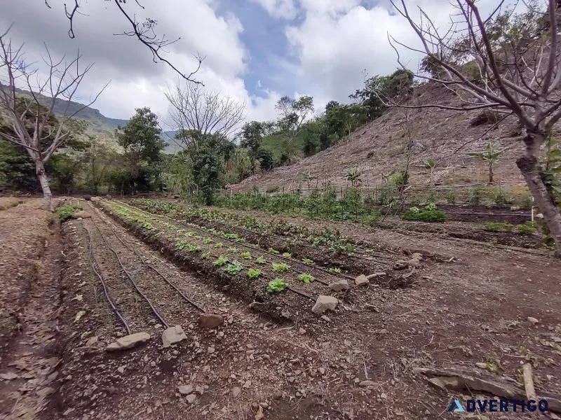 Massive mountain estate for sale salitral santa ana costa rica