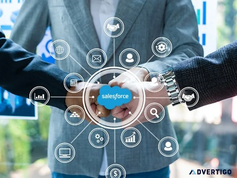 Hire salesforce programmer expert development services
