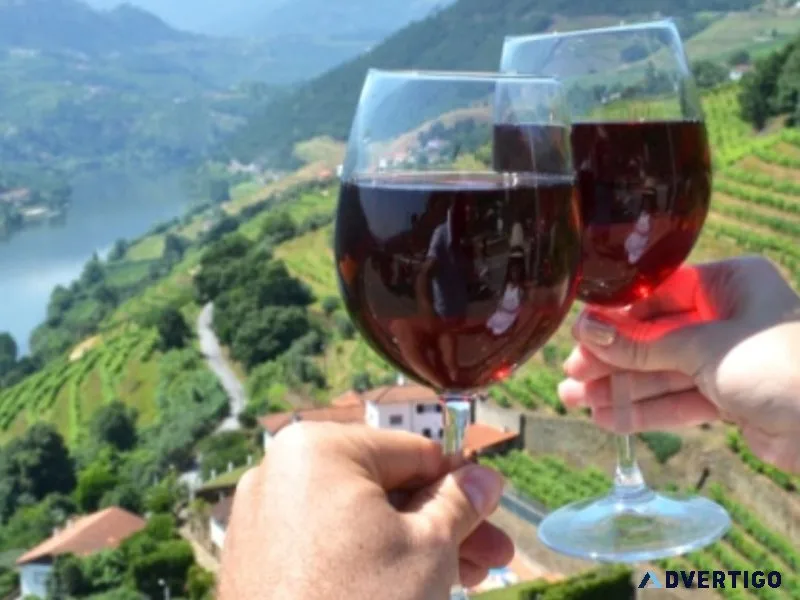 Wine tours in douro valley
