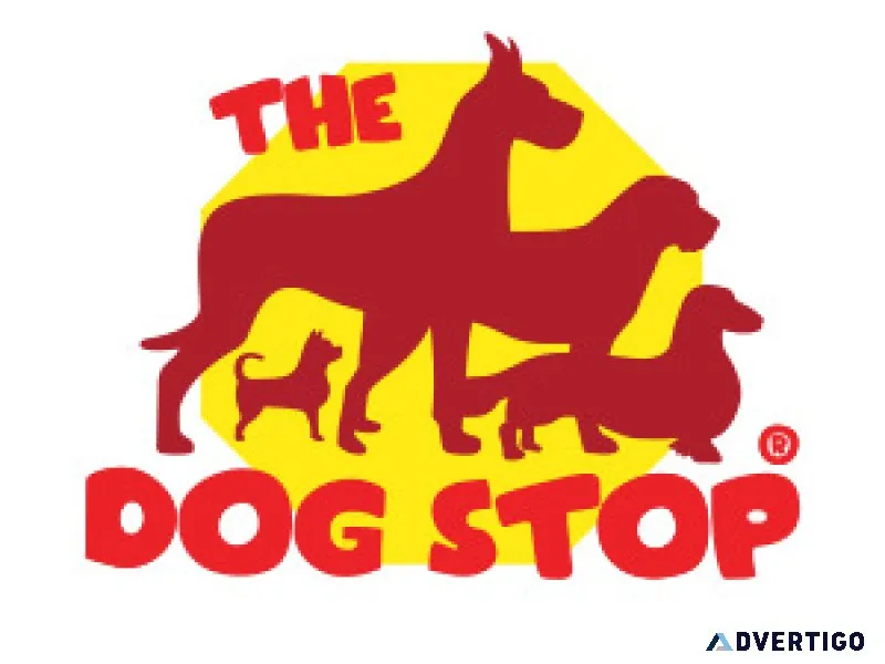 Premium dog daycare boarding services in kent wa the dog st
