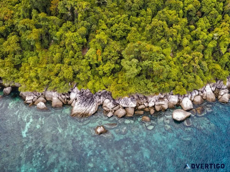 Tropical coastal landscape