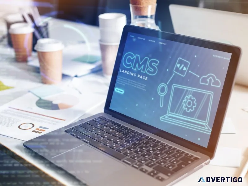 Smart webflow cms development for modern brands launch your si