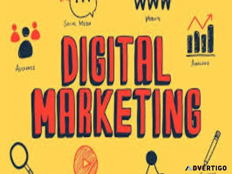 Top seo agencies with proven strategies