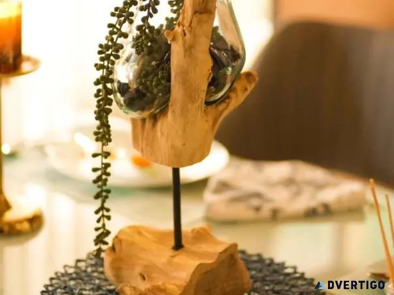 Elegant stick glass roots table vase decor for modern spaces