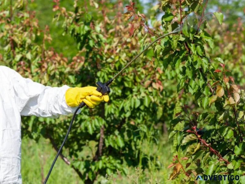 Arboricultural disease control specialists