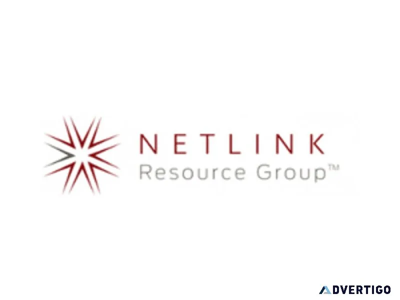 Netlink resource group custom software solutions