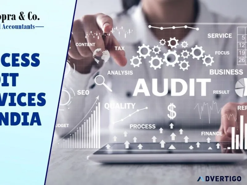 Business efficiency audit services in india