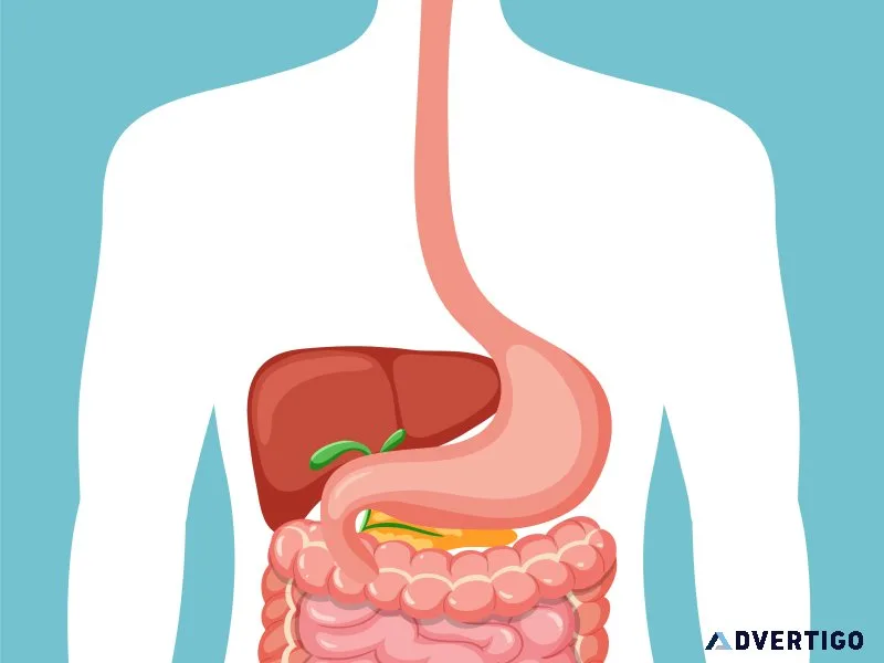 Gastroenterologist ahmedabad expert digestive health care