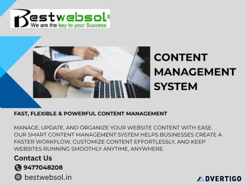 Professional content management system services for business