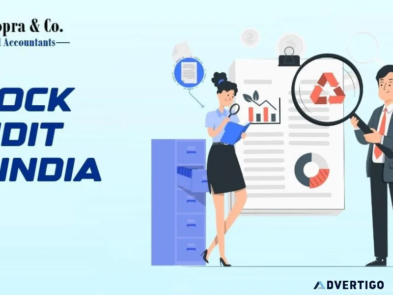 Professional inventory and stock audit in india solutions