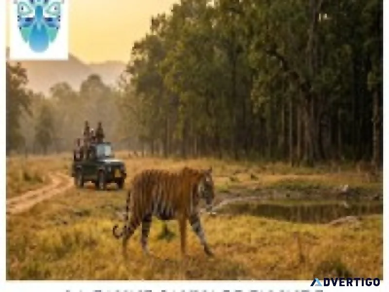 La faune sauvage en inde safari et nature exceptionnelle