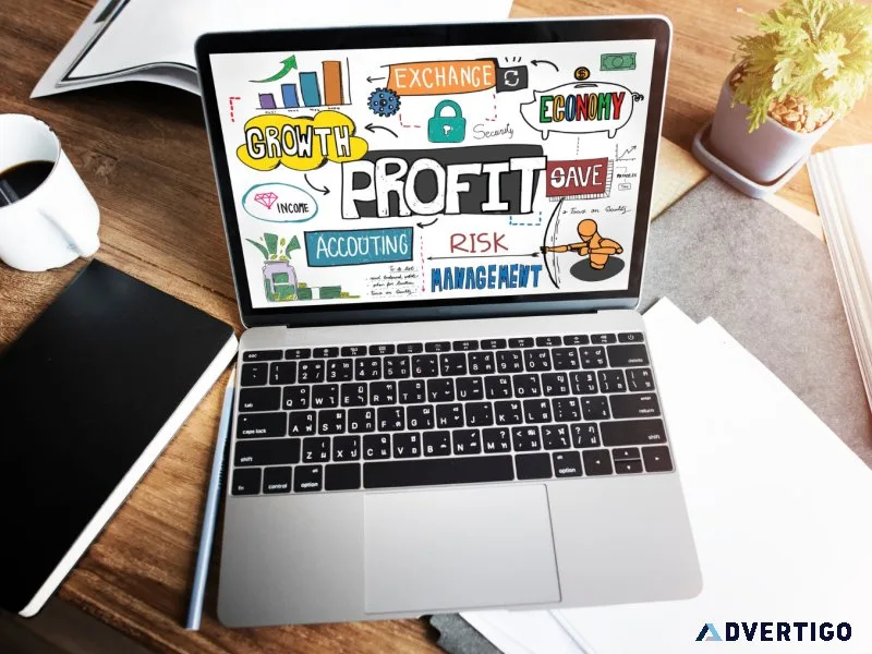 Professional digital marketing web development services