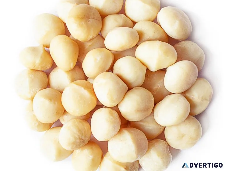 Buy 24k goldleafed jumbo macadamias the ultimate luxury snack
