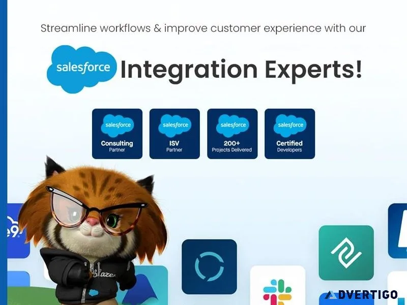 Best salesforce integration services in india