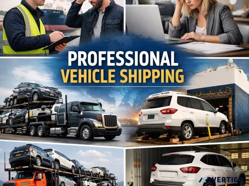 Professional vehicle shipping