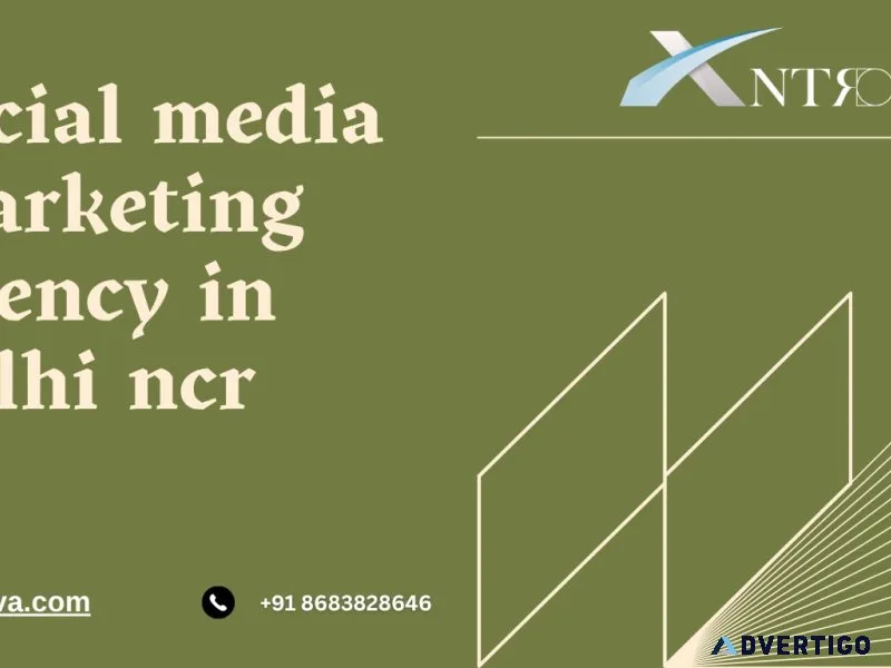 Social media marketing agency in delhi ncr experts