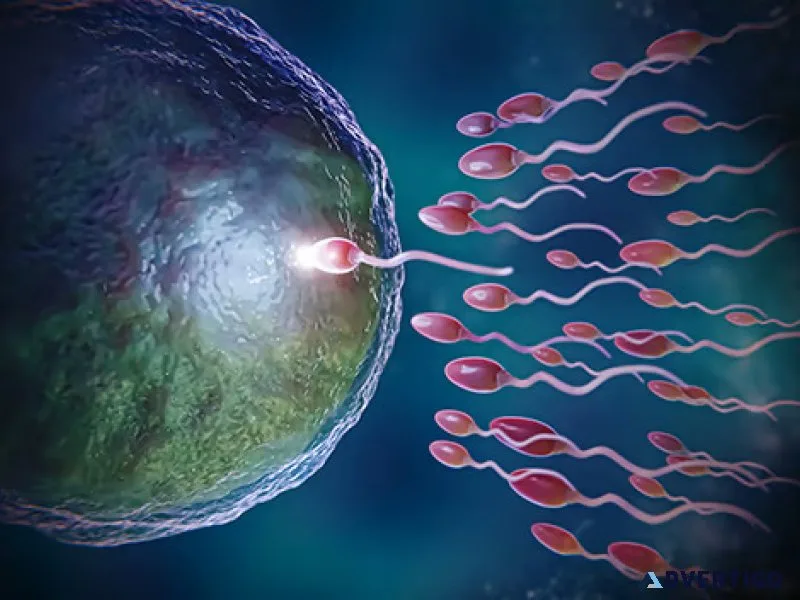 Ivf specialist in ahmedabad understanding fertility treatment