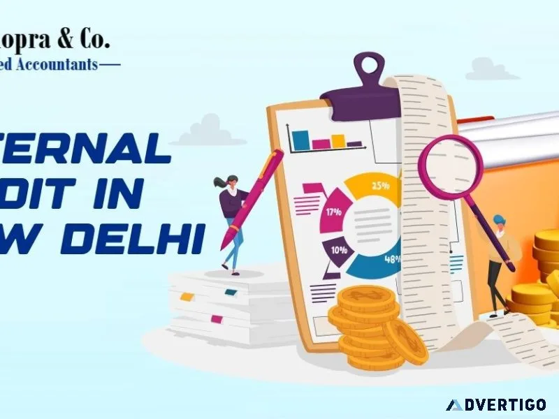 Cost reduction strategies internal audit in new delhi