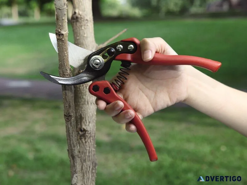 Professional garden hand pruner 31691