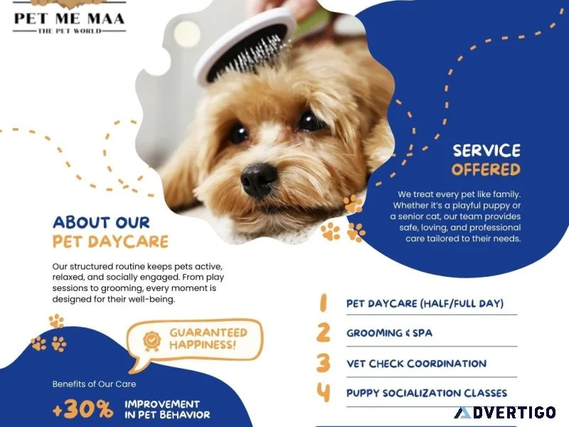 Pet daycare services