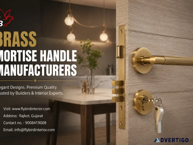 Brass mortise handle manufacturers flybird interior