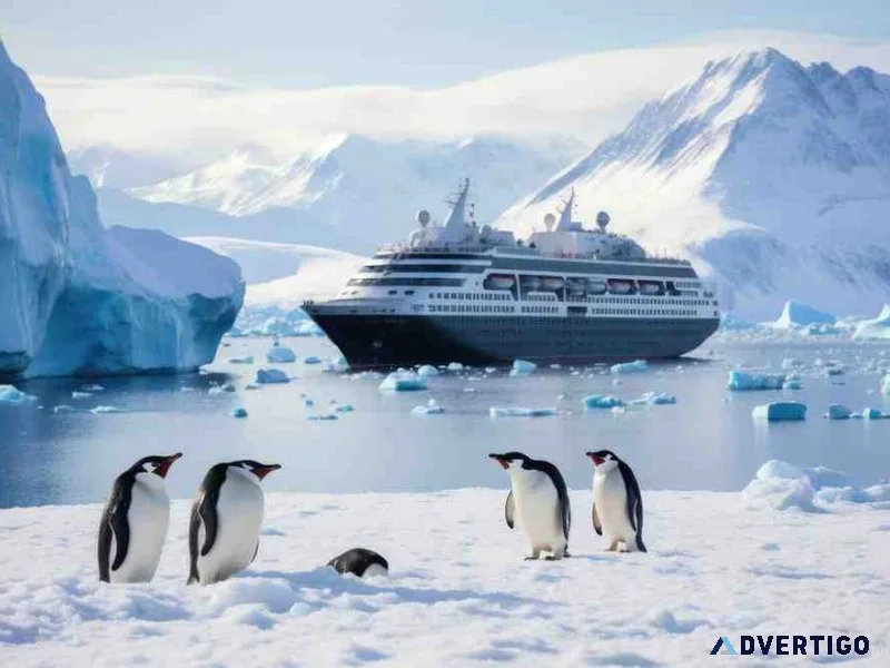 Plan your antarctica cruise adventure now with cruisebay experts