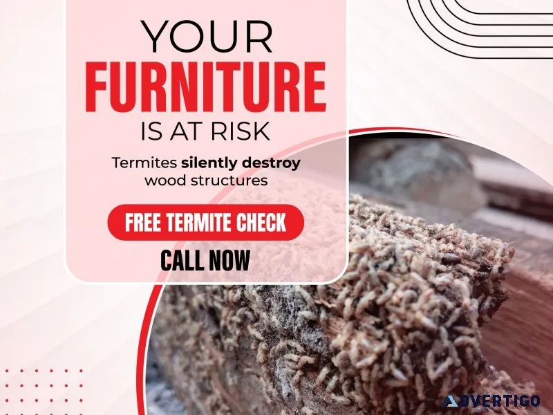 Best termite pest control services in hyderabad