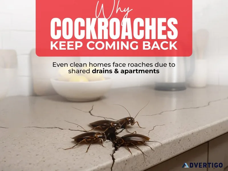 Cockroach pest control in secunderabad