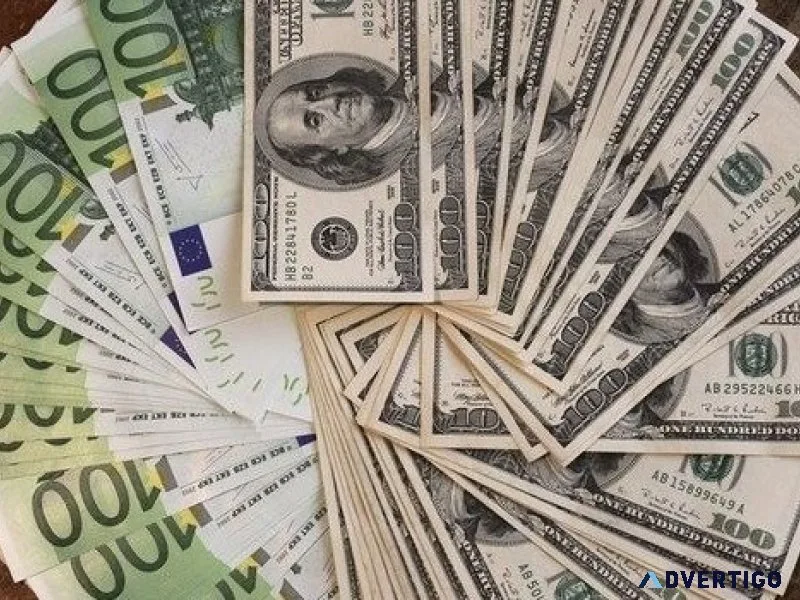 Financial service expert broker in loans and investment financin