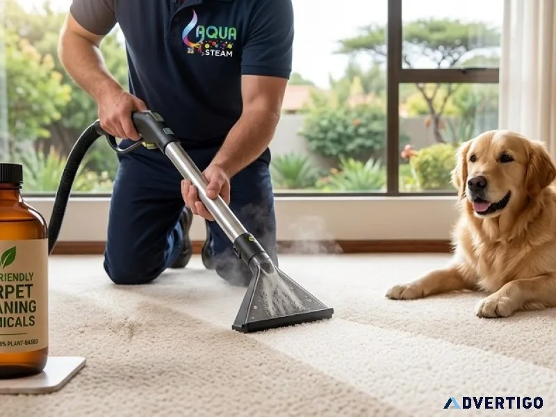 Professional carpet cleaning services in pretoria breathe easi
