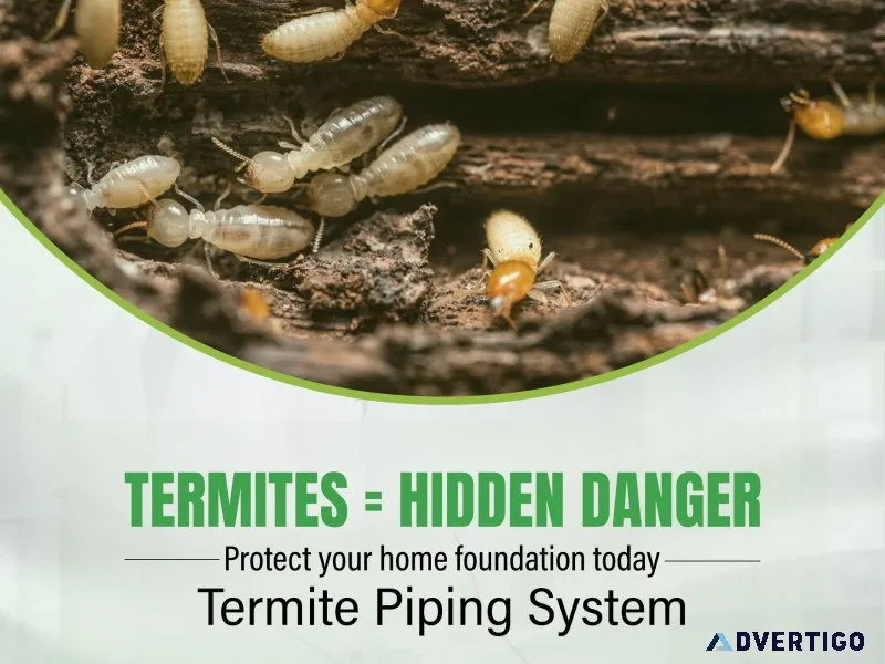 Termite pest control services in hyderabad